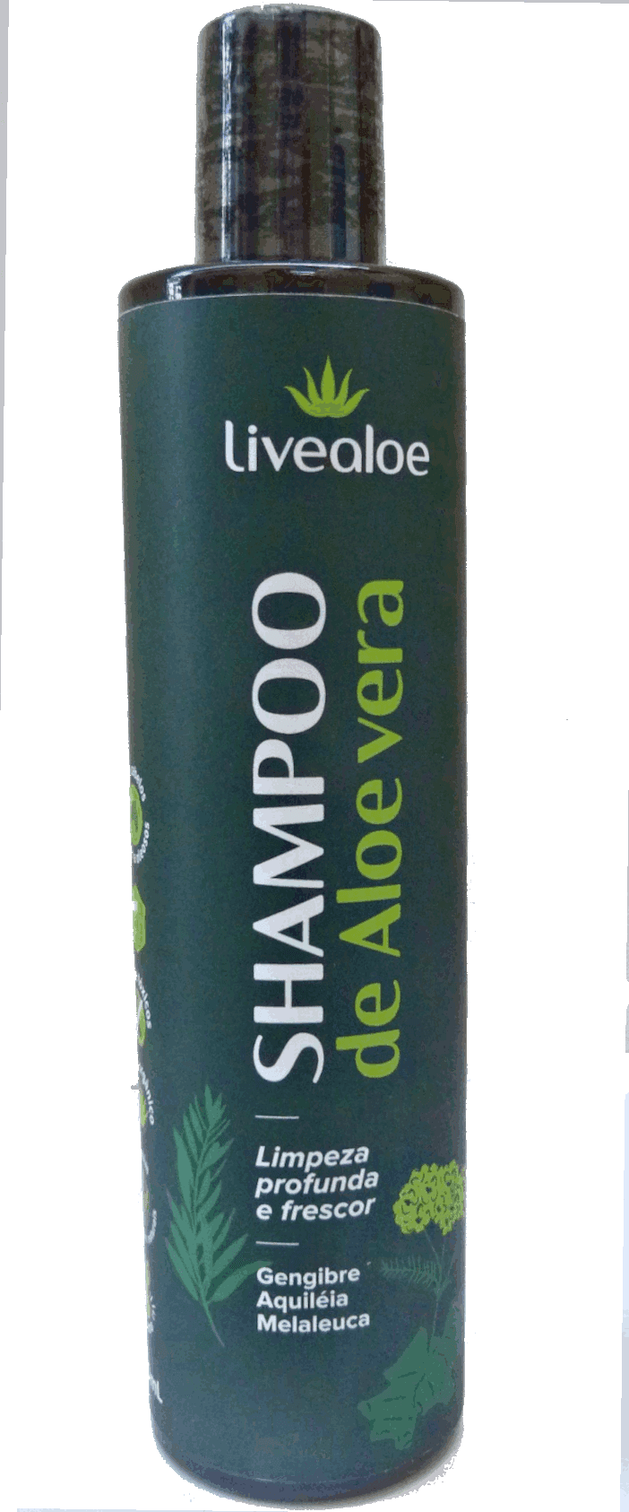 Shampoo Aloe Vera